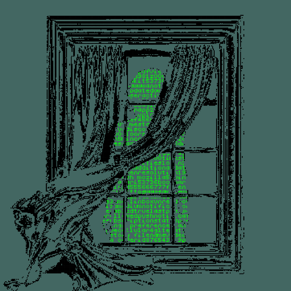 the new yorker, privacy